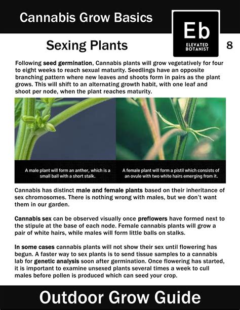 Og Sexing — Elevated Botanist