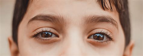 Free Images Beautiful Child Close Up Cute Eyebrow Eyes Eyesight