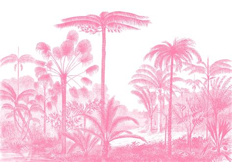 Pink Jungle Background Ubicaciondepersonas Cdmx Gob Mx