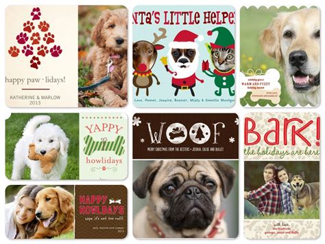 Adorable Pet Holiday Cards To Share The Joy