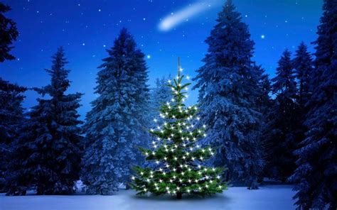 Beautiful Christmas Tree In Snow Wallpapers Wallpaper Cave