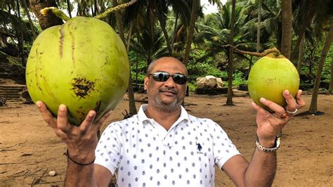 Wolrds Biggest Size Coconut Amazing Size Coconut My3streetfoods