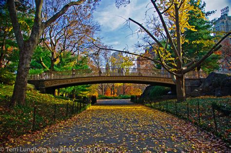 Central Park New York One Of The Worlds Most Famous Urban Parks