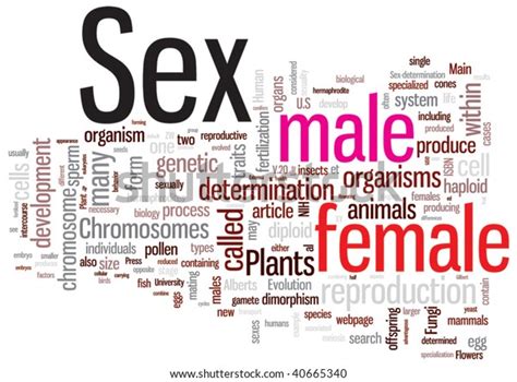 Sex Word Cloud Illustration Graphic Tag Stock Vector Royalty Free Free Download Nude Photo Gallery