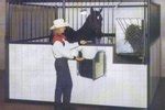 horse stall drain  animals momme
