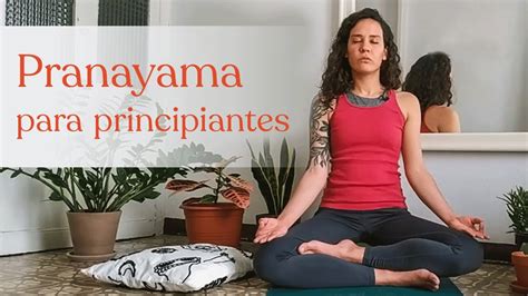 Pranayama Para Principiantes Ejercicios De Respiración Youtube