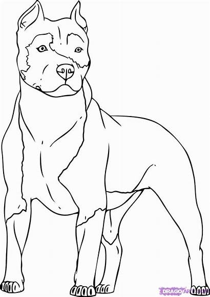 Coloring Pitbull Dog Popular