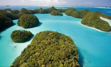Palau Produces Leading Ltandc Example Tourism And Marine Protected Area