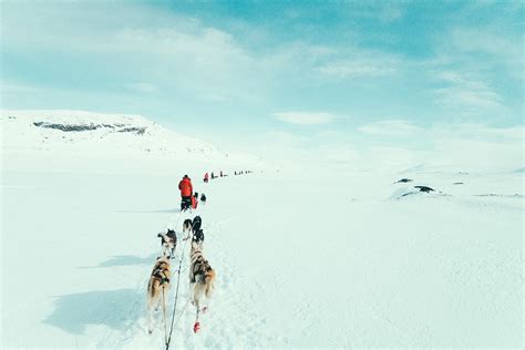 Weeklong Dog Sledding Expedition Northern Scandinavia Arctic