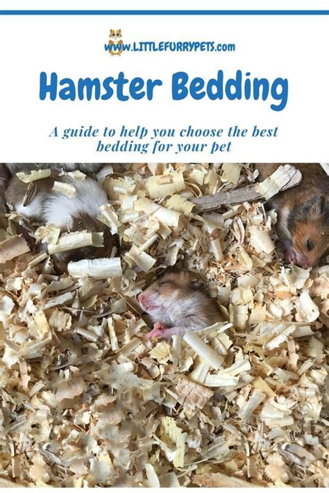 The Ultimate Guide To The Best Hamster Bedding What You Need To Have A