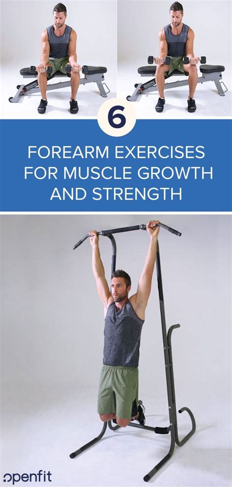 Forearm Workouts 6 Best Exercises For Mass Openfit Forearm