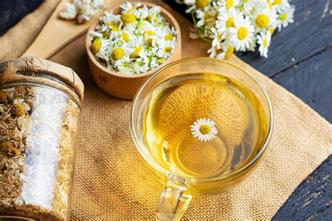 Is Chamomile Tea Good For Acid Reflux Chinese Teas 101