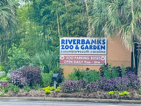The Ultimate Guide To Visiting Riverbanks Zoo In Columbia Sc 2023