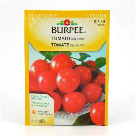 Burpee Jolly Hybrid Tomato Seeds Arts Nursery Ltd
