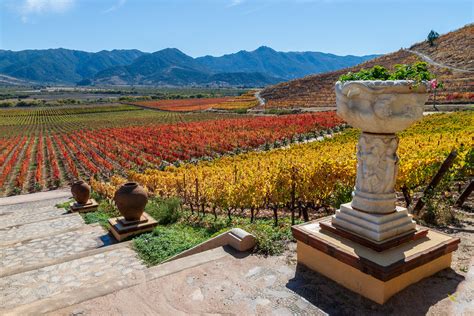 You do not have to be fluent in spanish to read your documents. Viña Santa Cruz | Colchagua, Region de O'Higgins | Rodemil ...
