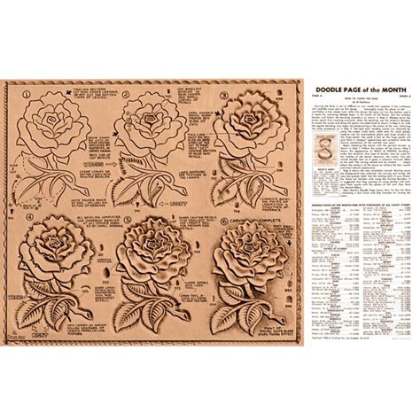 Leathercraft Library How To Carve The Rose By Al Stohlman Series 8