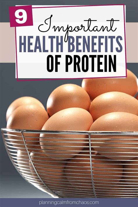 What Are The Benefits Of Protein Planning Calm From Chaos