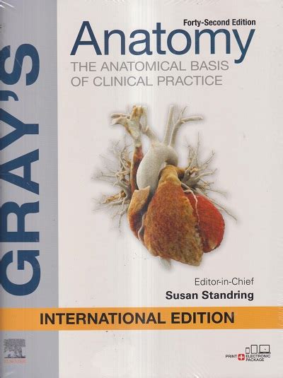Grays Anatomy The Anatomical Basis Of Clinical Practice Susan