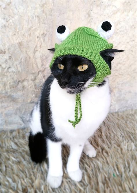 frog hat for cat ubicaciondepersonas cdmx gob mx