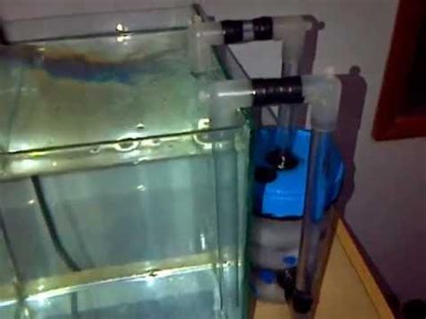 1929 aquarium decor 3d models. Ketahui Cara Membuat Aquarium Dinding Tanpa Kuras, Terbaru!