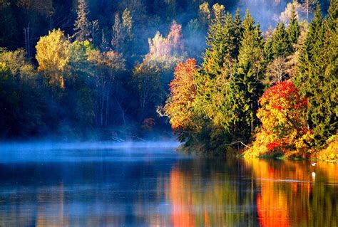 Download Lake View With Colorful Trees Wallpaper