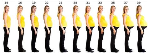 Pregnancy Size By Week LoveToKnow