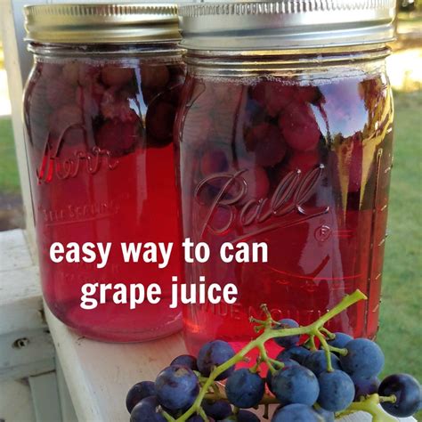 Easy Grape Juice Canning Recipe