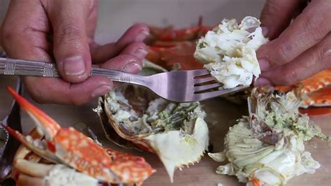 Wrap crab legs with dill sprigs. how to eat crab legs video