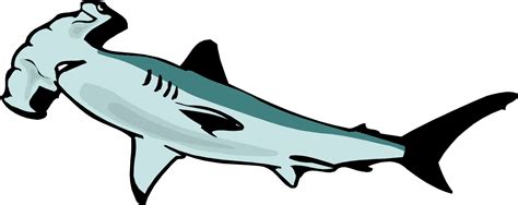Hammerhead Shark Clipart Clipart Best