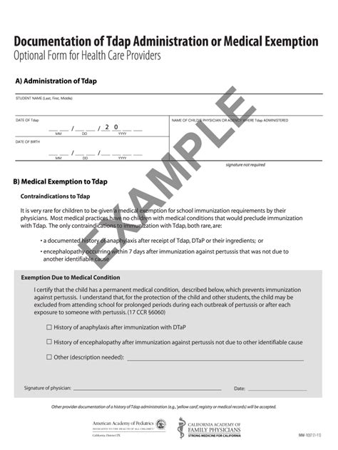 Tdap Documentation Form Fill Out And Sign Online Dochub
