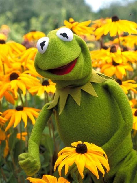Kermit the frog my aesthetic. Pin op Kermit and Friends