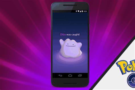 Ditto Is Now On Pokémon Go But Youll Have To Catch A Ton Of Pidgeys