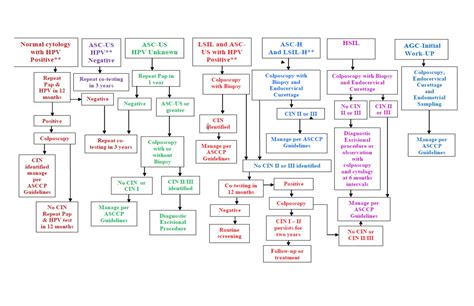 Algorithm For Cervical Screening Pap Abnormalities Wyoming Department