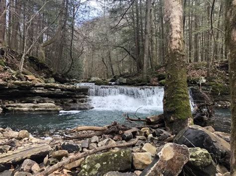 Best 10 Hiking Trails In Fall Creek Falls State Park Alltrails