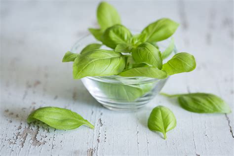 The chinese and taiwanese people use fresh or dried basil leaves in their soups. How to Freeze Basil and Store It for Use Year-Round