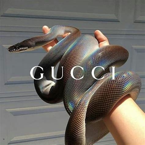 1,2,3,4or5 #prada #dior #nike #gucci#balenciaga | Boujee ...