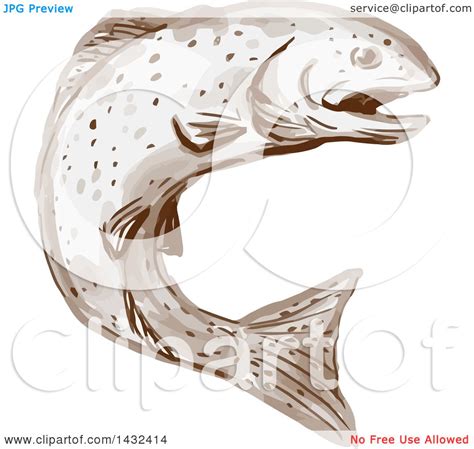 Download Clipart of a Watercolor Rainbow Trout Fish Jumping ...