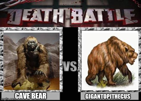Cave Bear Vs Gigantopithecus By Jakethegod On Deviantart