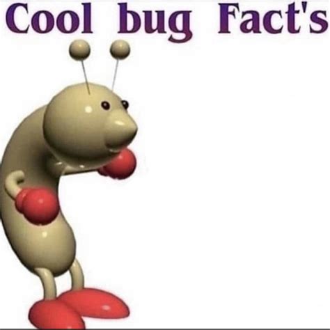 Cool Bug Facts Template Memetemplatesofficial