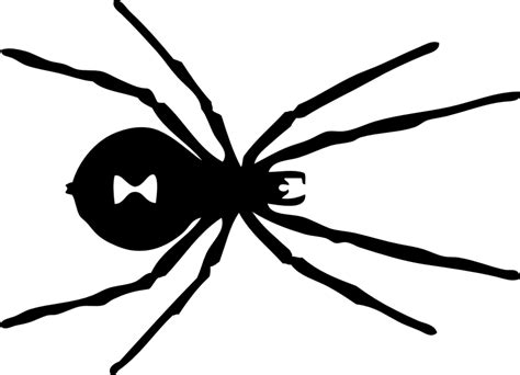 Spider Black Widow White Line Art Tatoo Black And White