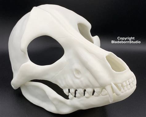 Canine Skull Ph