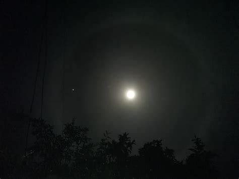 ‘moon Halo Seen In Bohol Skies Inquirer News
