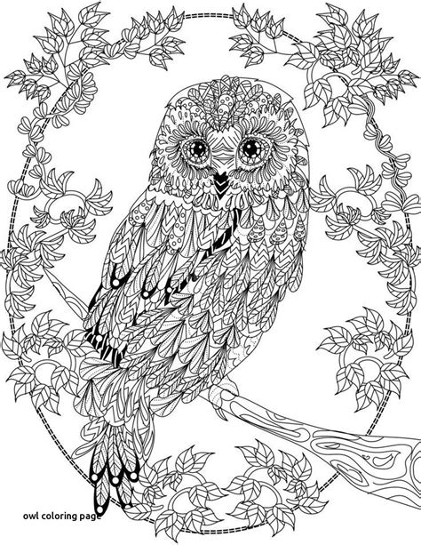 realistic owl coloring pages  getcoloringscom  printable colorings pages  print  color