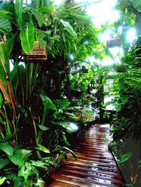 43 Beautiful Tropical Front Yard Landscape Ideas For Your Home 10