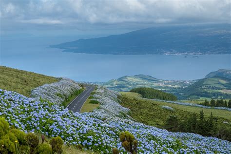 6 Best Things To Do In Faial Azores