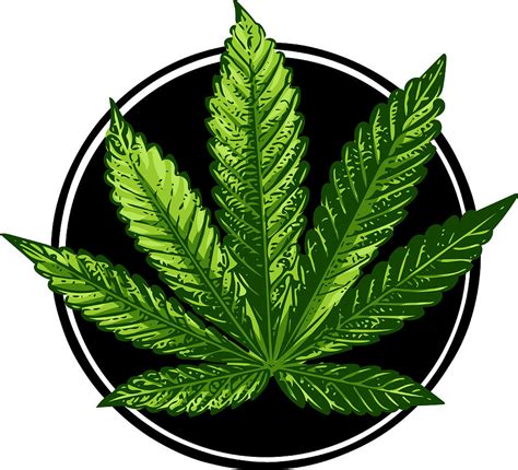 Cannabis Sign Illustration Vector Dark Green Icon On Transparent