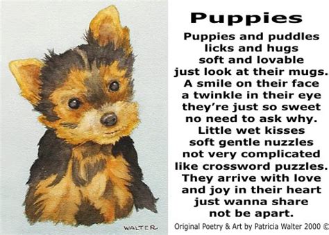 Check spelling or type a new query. Funny Pictures Gallery: Puppies quotes, puppy quotes