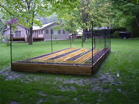 Blue fence with white flowers. deer fence idea | Backyard fences, Cheap garden fencing ...