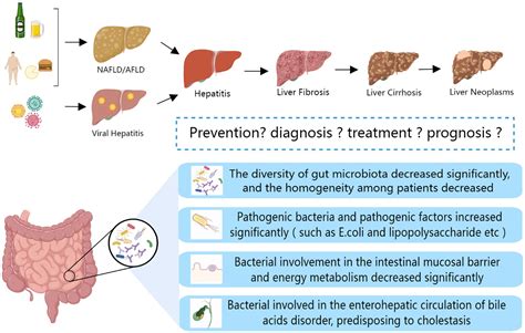 Frontiers The Gut Microbiota A New Perspective For Tertiary