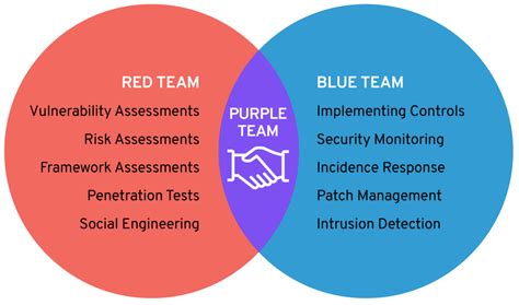 What Is Purple Teaming — Cybersecurity Plextrac